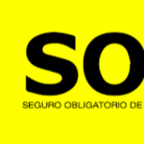 CONSULTA MEDICA SOAT