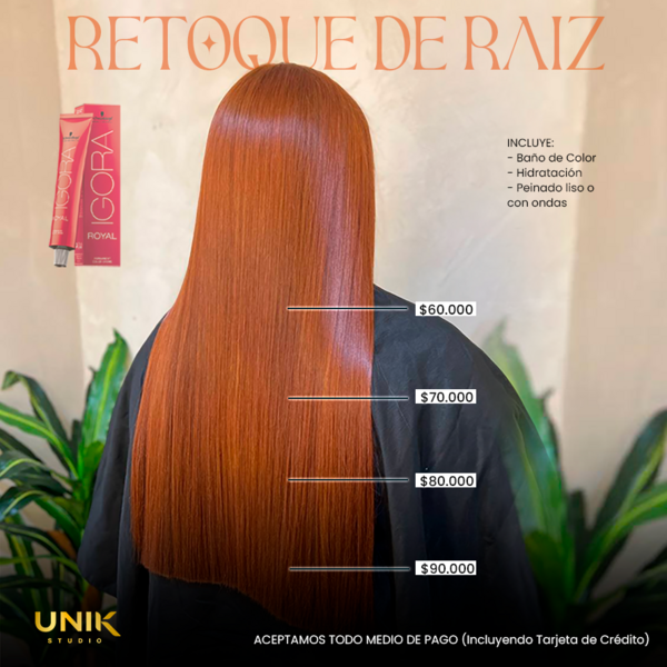 RETOQUE DE RAIZ Y BAÑO DE COLOR