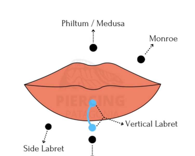 Philtrum Piercing ( Medusa )