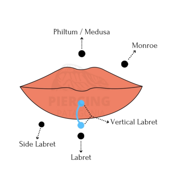 Vertical Labret 