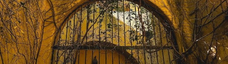 Mond Massage Spa  banner