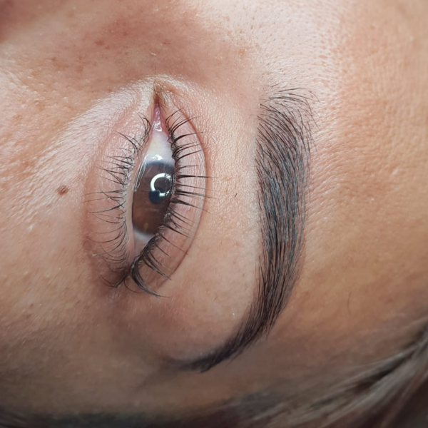 Diseño de cejas + perfilado con hilo y pinzas + tinte