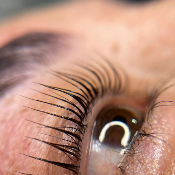 Lash lifting laminado premium + tinte