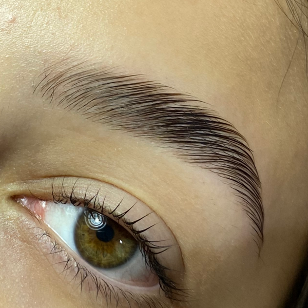 Laminado de Cejas