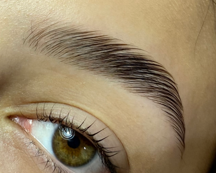 Laminado de Cejas