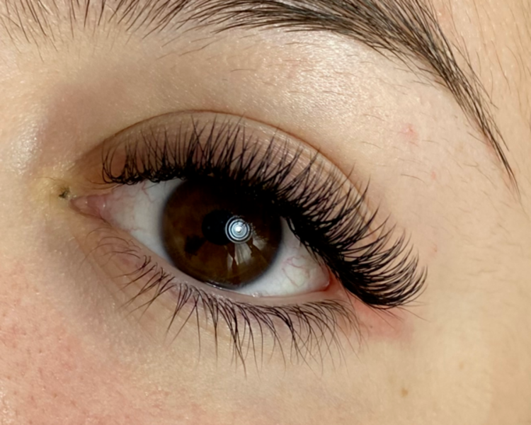 Extensiones 2D y 3D tecnologicas