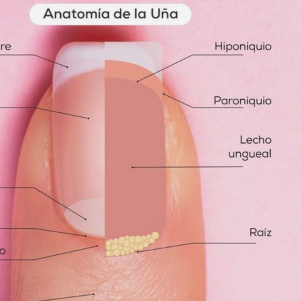 Curso Manicura Esmaltado Permanente Basico 