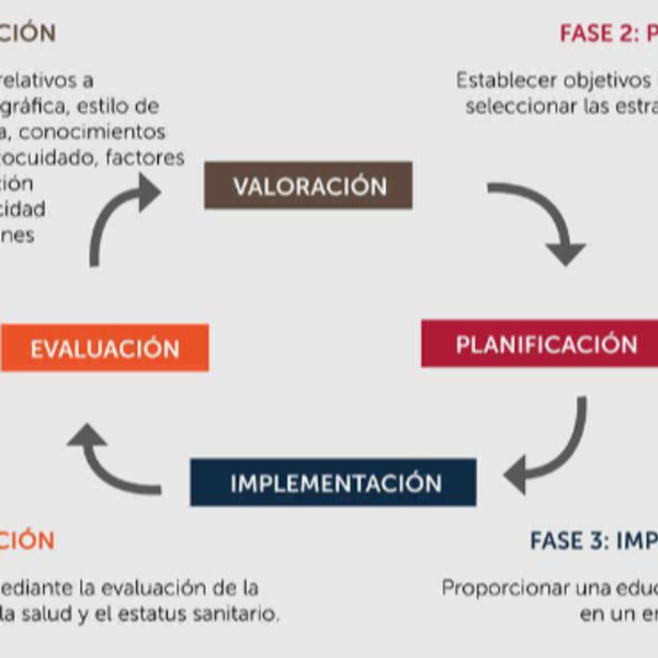 Educacion insulinoterapia