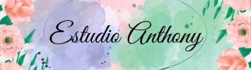 Estudio Anthony interior