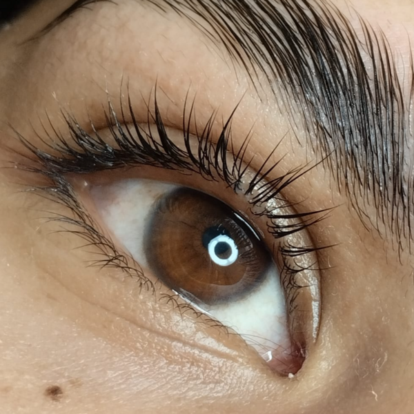 Lifting de pestañas con tintura