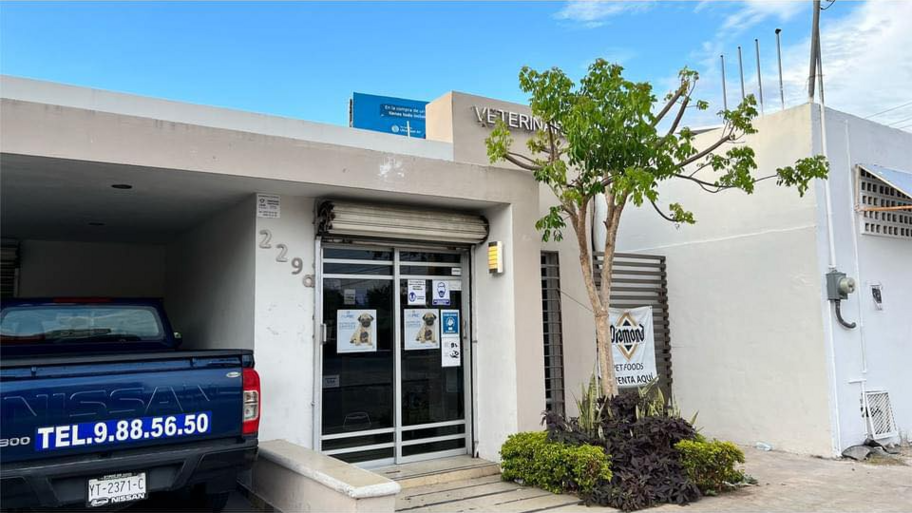 Clínica Veterinaria y Estética Canina SAK PEEK banner