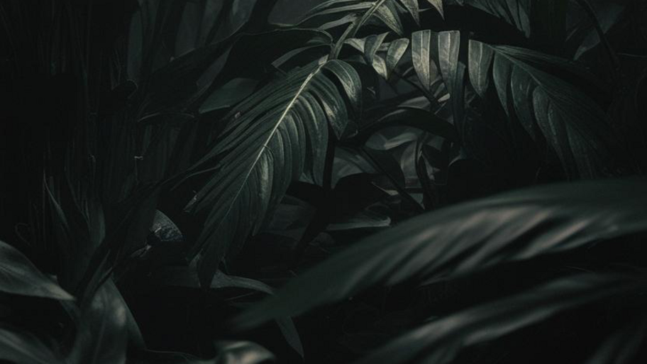 LEBLON ESTUDIO interior