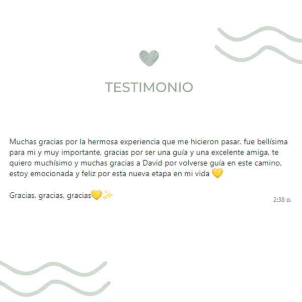 TERAPIA DE SANACIÓN  - Encuentra tu equilibrio interior y conecta con el amor (sesión individual)