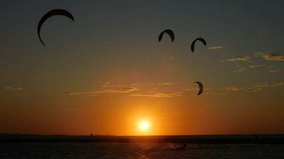Academia Ola y Viento banner