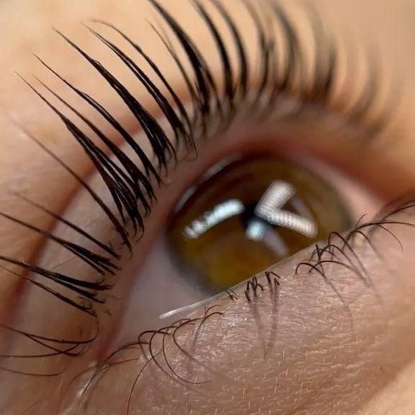 Lifting de Pestañas + Hidratación + Tintura. 