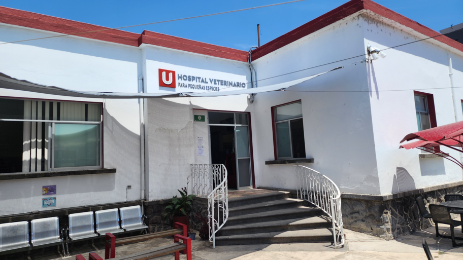 Hospital Veterinario UPAEP interior