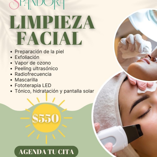 Limpieza Facial Profunda