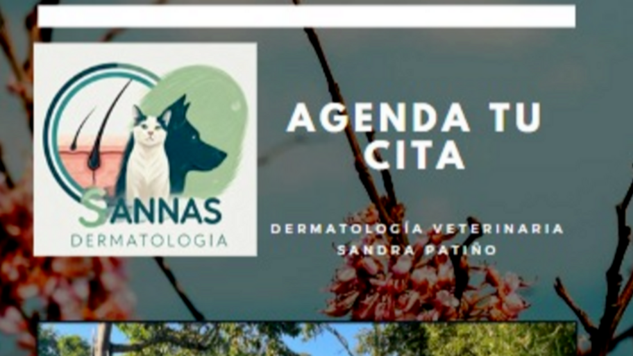 SANNAS - SANDRA PATIÑO interior