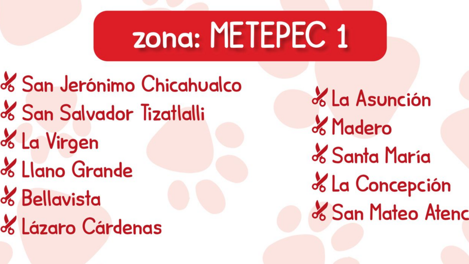 Estética Canina Kroketas  banner