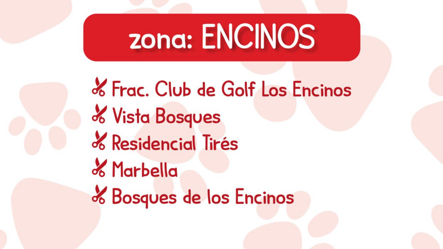 Estética Canina Kroketas  banner