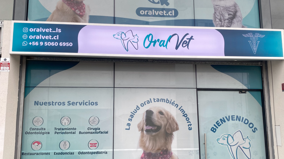 Clínica Veterinaria Odontológica OralVet interior