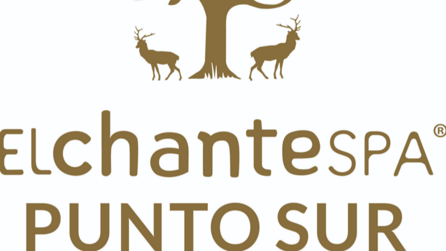 EL CHANTE SPA PUNTO SUR  interior