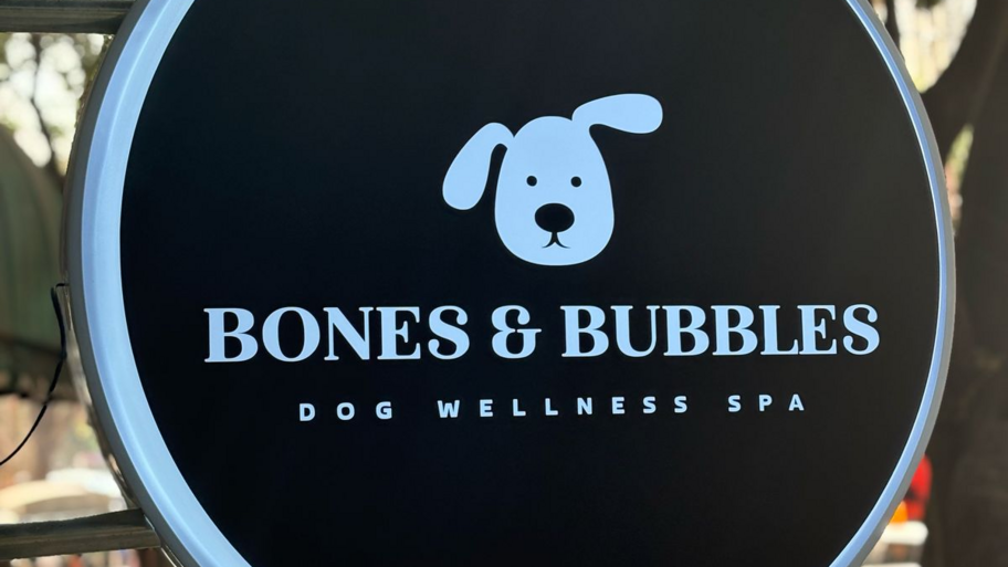 Bones & Bubbles interior