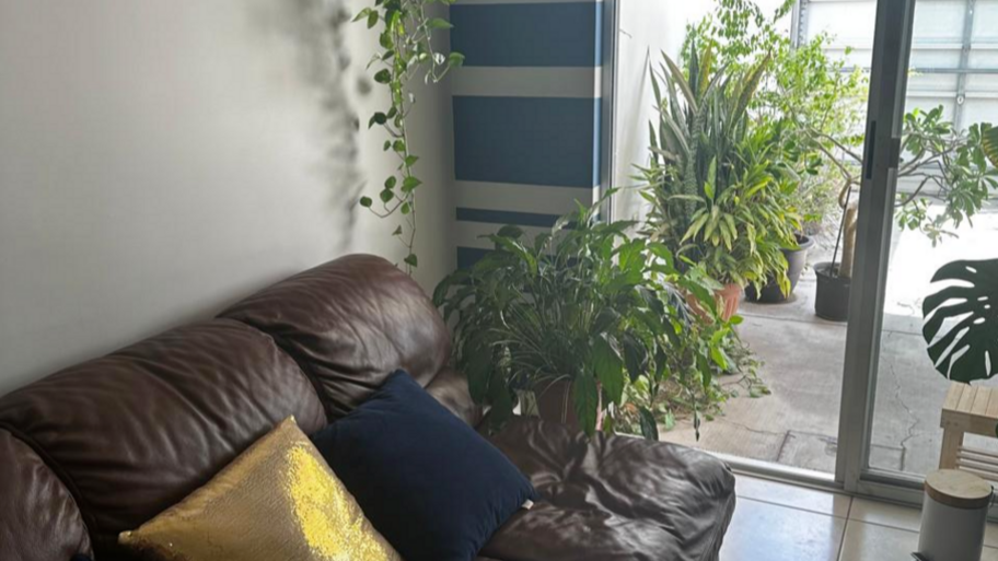 Psicoterapeuta Karla Rochín del Rincón banner