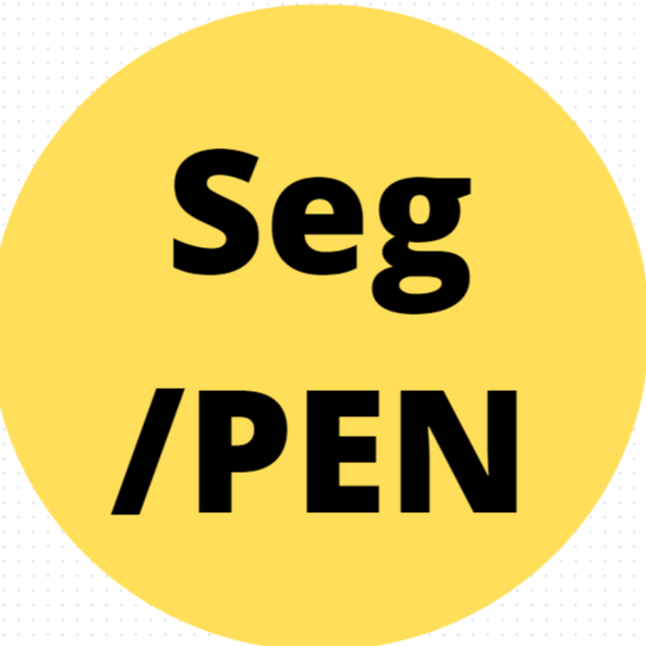 Seg/PENTACAM