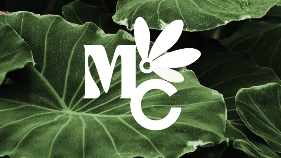 Sara Sofia Santibañez interior