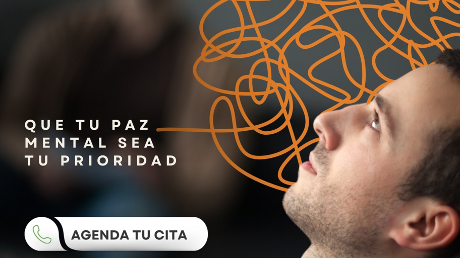 Sinapsis Con-Ciencia S.C. interior