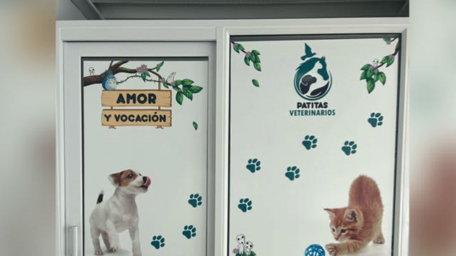Patitas Veterinarios interior