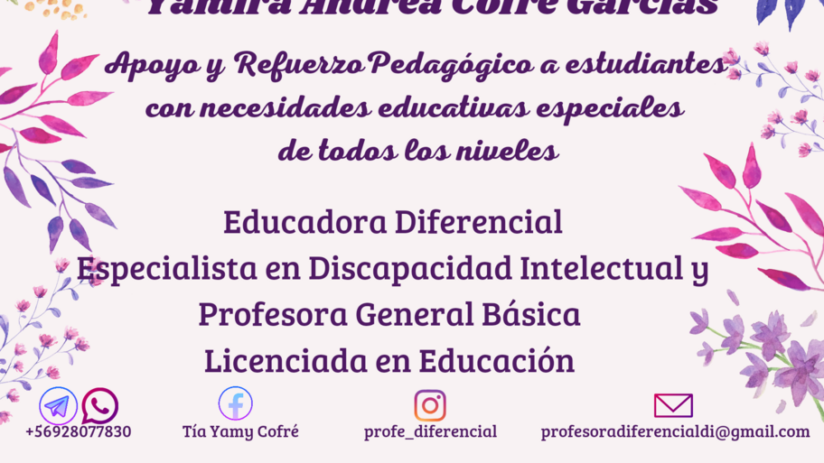 Centro Fonsyathe banner