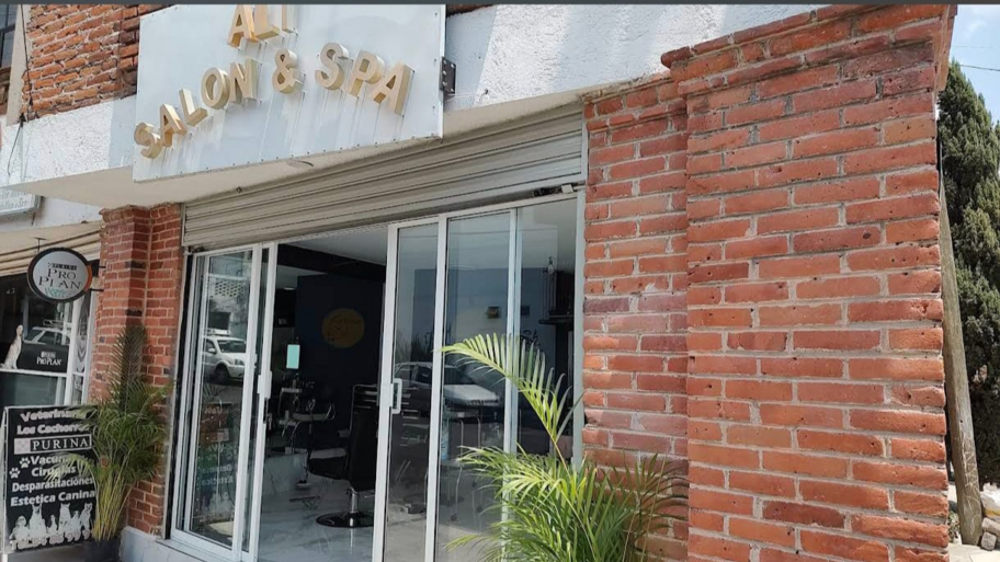 Ali Salon Spa interior