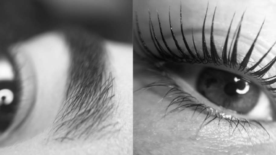 Brows Vibes | Stephani Y. banner