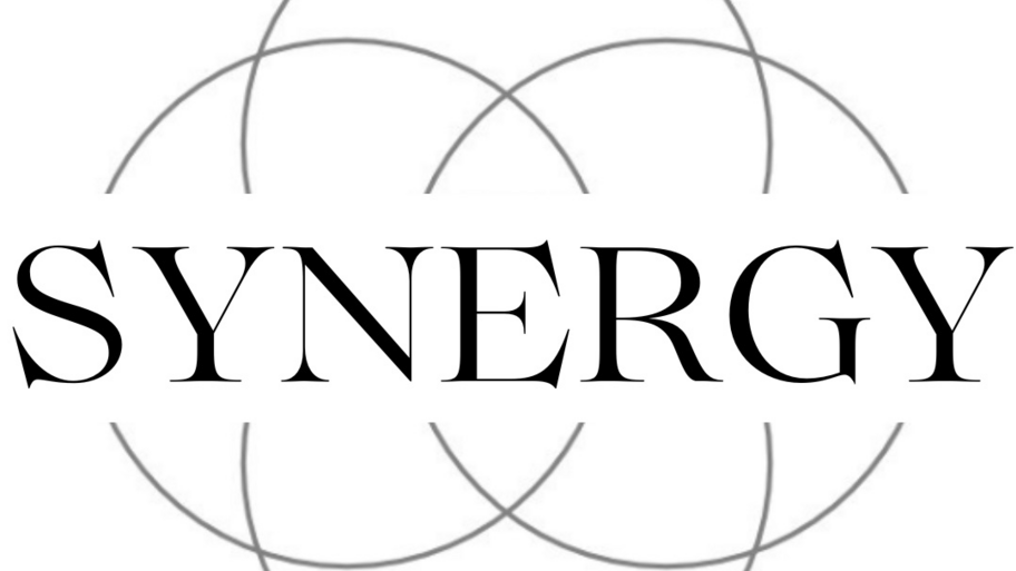 Synergy SpA interior