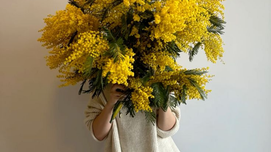 Salón de Cejas y Pestañas Mimosa studio banner