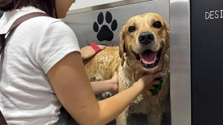 Huella Tienda de Mascotas 🐾 banner