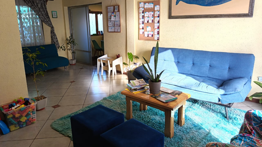 Casa Manzanilla  interior