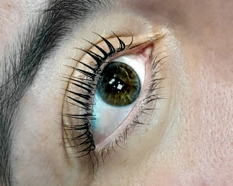 Lifting de pestañas + Tintura + Botox