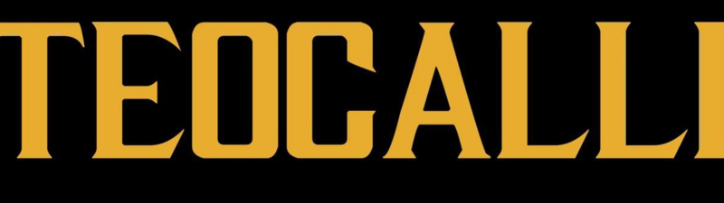 TEOCALLI PIERCING BOUTIQUE banner