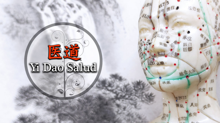 Yi Dao Salud 医道 interior