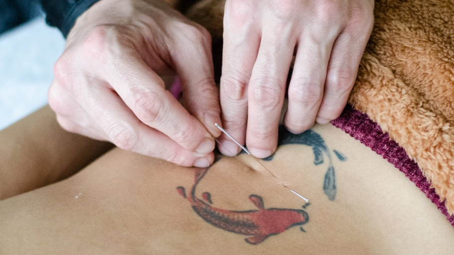 El Pájaro Chino banner