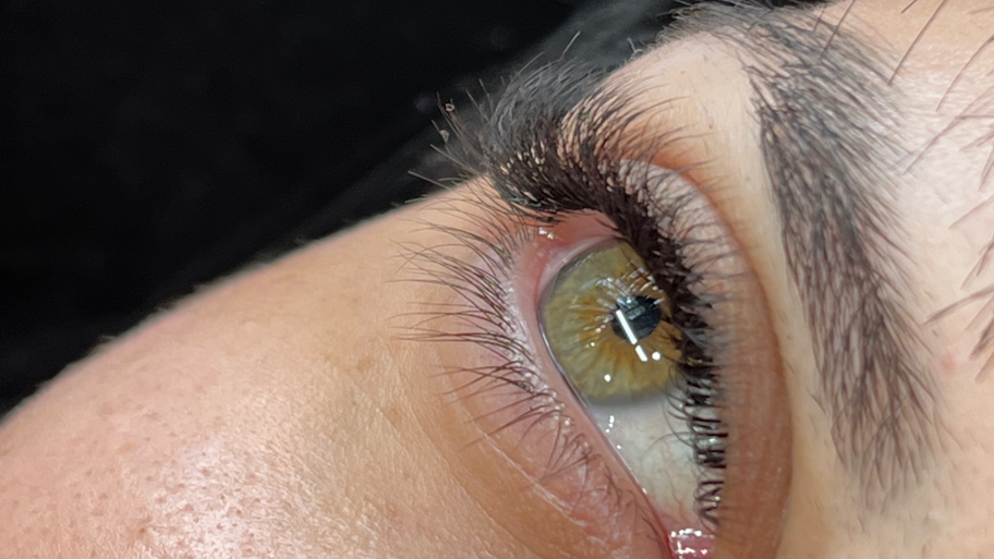 𝐃𝐀𝐍𝐄𝐋𝐋𝐀 𝐋𝐀𝐒𝐇𝐄𝐒 banner