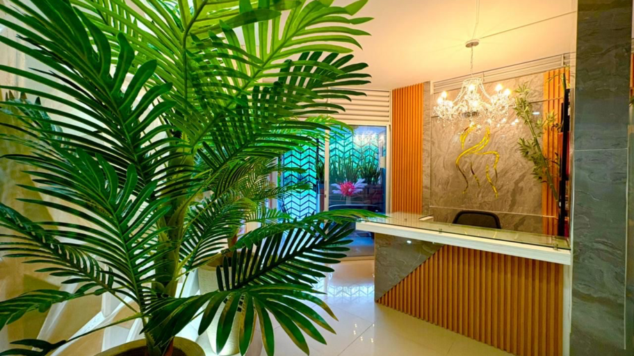 Spa Estética y Salud  interior