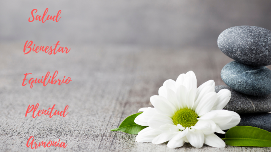 Paula Oliva interior