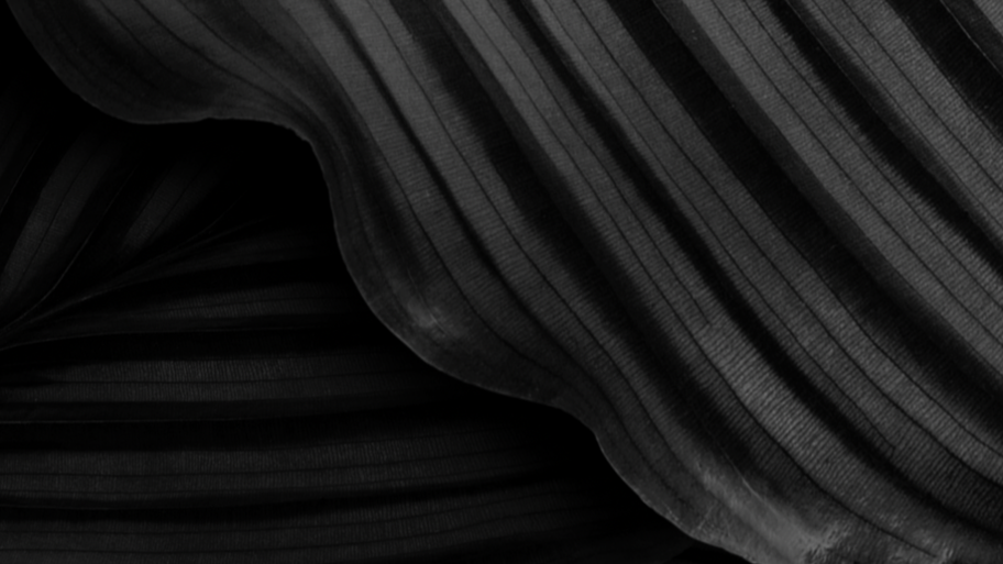 Barbería Black Scorpion  banner