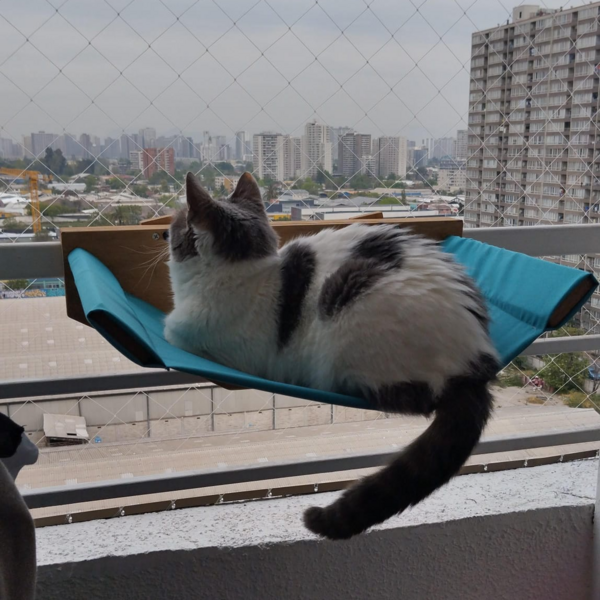Hamaca