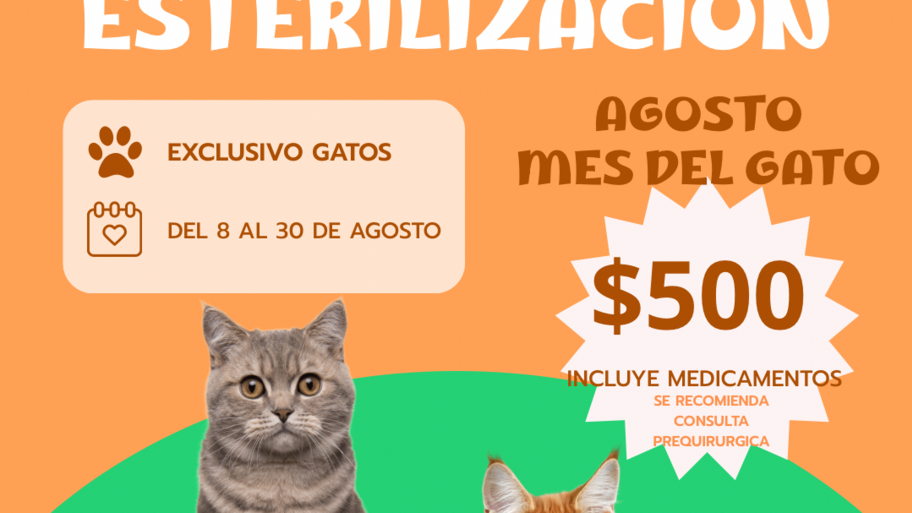 KARVET Centro Holístico Veterinario banner