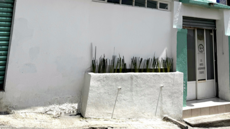 DENTALOOM-ZINACANTEPEC banner